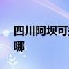 四川阿坝可提供SKG榨汁机维修服务地址在哪