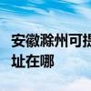 安徽滁州可提供飞利浦空气净化器维修服务地址在哪