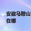 安徽马鞍山可提供SKG榨汁机维修服务地址在哪