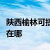 陕西榆林可提供三星空气净化器维修服务地址在哪