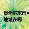 贵州黔东南可提供艾美特空气净化器维修服务地址在哪