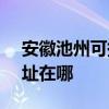 安徽池州可提供SKG空气净化器维修服务地址在哪