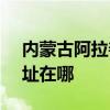 内蒙古阿拉善可提供SKG剃须刀维修服务地址在哪