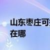 山东枣庄可提供SKG健身器材维修服务地址在哪