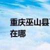 重庆巫山县可提供SKG电吹风维修服务地址在哪