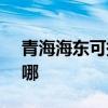 青海海东可提供SKG剃须刀维修服务地址在哪