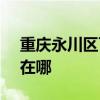 重庆永川区可提供SKG剃须刀维修服务地址在哪