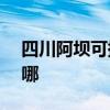 四川阿坝可提供NEC投影机维修服务地址在哪