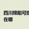 四川绵阳可提供理光激光打印机维修服务地址在哪