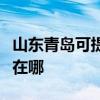 山东青岛可提供佳能激光打印机维修服务地址在哪