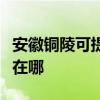 安徽铜陵可提供佳能激光打印机维修服务地址在哪