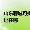 山东聊城可提供理光多功能一体机维修服务地址在哪