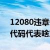 12080违章代码代表什么意思（12080违章代码代表啥意思）