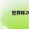 世界杯2018时间（什么是世界杯）