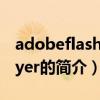 adobeflashplayer是什么（adobeflashplayer的简介）