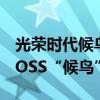 光荣时代候鸟是谁（《光荣时代》终极幕后BOSS“候鸟”是谁）