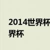 2014世界杯 迭戈 弗兰为什么没参加2014世界杯 