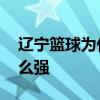 辽宁篮球为什么盛产后卫 辽宁篮球为什么这么强 