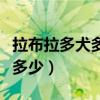 拉布拉多犬多少钱一只（拉布拉多犬的价格是多少）