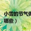 小雪的节气做什么事情（小雪节气民间习俗有哪些）