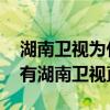 湖南卫视为什么没有网络直播 网上为什么没有湖南卫视直播 