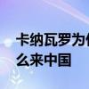 卡纳瓦罗为什么用鲁能金敬道 卡纳瓦罗为什么来中国 