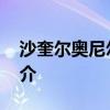 沙奎尔奥尼尔个人简介 沙奎尔奥尼尔个人简介 