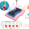 可穿戴防水传感器结合了高灵敏度和定位选项