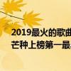 2019最火的歌曲有哪些（2019年十大最火的歌曲排行榜：芒种上榜第一最具魔性）