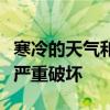 寒冷的天气和短距离的行驶会对汽车电池造成严重破坏