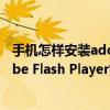 手机怎样安装adobe flash player（安卓手机怎么安装Adobe Flash Player插件）