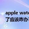 apple watch activation lock（iPhone丢了应该咋办?Activation Lock教程）