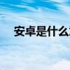 安卓是什么意思中文（安卓是什么意思）