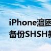 iPhone澶囦唤shsh2（iPhone4通过iTools备份SHSH教程攻略）