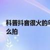 科普抖音很火的乌龟六张图怎么玩及抖音变老的特效视频怎么拍