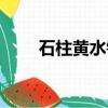 石柱黄水镇避暑房新房（石柱黄水）