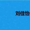 刘佳怡代打证据（刘佳怡代打）