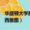 华盛顿大学西雅图usnews排名（华盛顿大学西雅图）