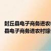 封丘县电子商务进农村综合示范项目专项资金管理办法 试行（关于封丘县电子商务进农村综合示范项目专项资金管理办法 试行简介）