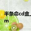 半条命cd盒上的cd-key输入完进不去出现16m