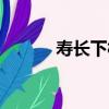 寿长下村（关于寿长下村简介）