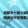 成都市十陵小城镇建设开发有限公司（关于成都市十陵小城镇建设开发有限公司简介）