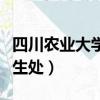 四川农业大学研究生处长（四川农业大学研究生处）