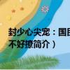 封少心尖宠：国民男神不好撩（关于封少心尖宠：国民男神不好撩简介）