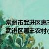 常州市武进区惠丰农村小额贷款股份有限公司（关于常州市武进区惠丰农村小额贷款股份有限公司介绍）