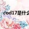 cod17是什么平台的（cod16在哪个平台）