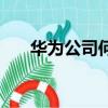 华为公司何时创办（华为成立新公司）