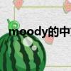 moody的中文意思（moody是什么意思）