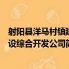 射阳县洋马村镇建设综合开发公司（关于射阳县洋马村镇建设综合开发公司简介）