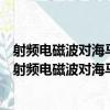 射频电磁波对海马神经元树突发育及突触形成的影响（关于射频电磁波对海马神经元树突发育及突触形成的影响简介）